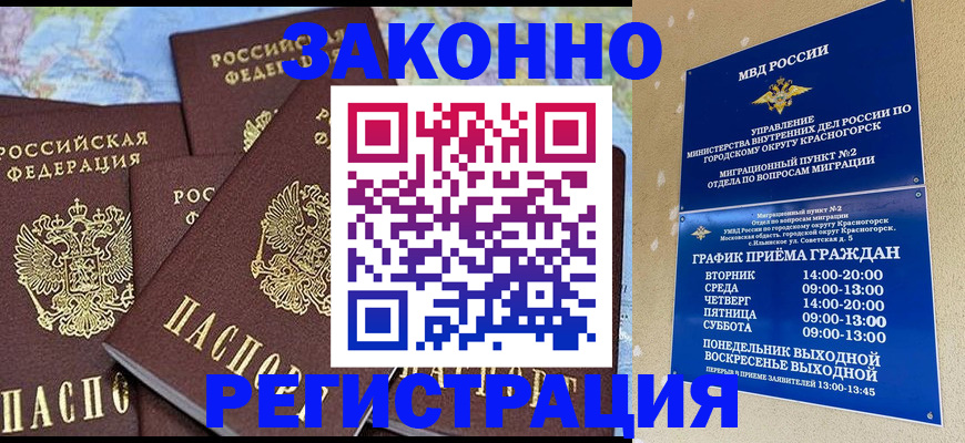 временная регистрация надежно в Курской области